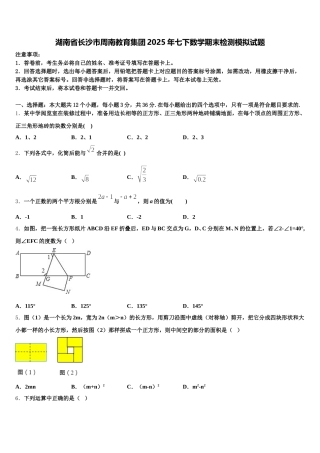 湖南省长沙市周南教育集团2025年七下数学期末检测模拟试题含解析
