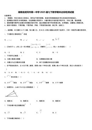 湖南省武冈市第一中学2025届七下数学期末达标检测试题含解析