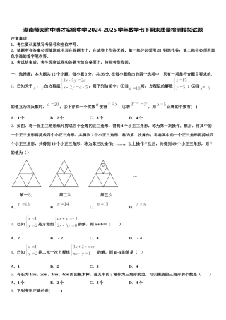 湖南师大附中博才实验中学2024-2025学年数学七下期末质量检测模拟试题含解析