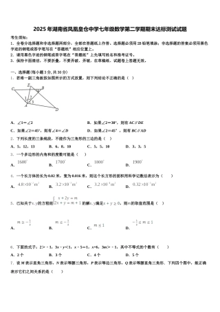 2025年湖南省凤凰皇仓中学七年级数学第二学期期末达标测试试题含解析