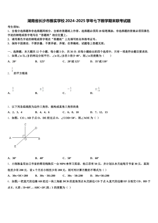 湖南省长沙市雅实学校2024-2025学年七下数学期末联考试题含解析