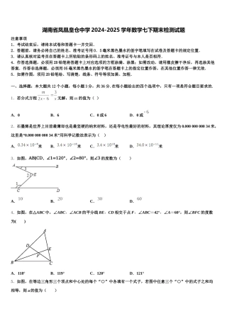 湖南省凤凰皇仓中学2024-2025学年数学七下期末检测试题含解析