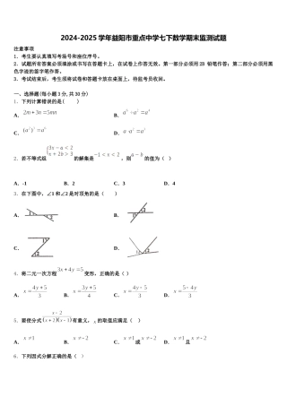 2024-2025学年益阳市重点中学七下数学期末监测试题含解析