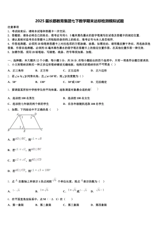 2025届长郡教育集团七下数学期末达标检测模拟试题含解析
