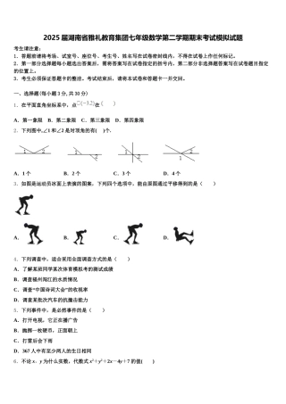 2025届湖南省雅礼教育集团七年级数学第二学期期末考试模拟试题含解析
