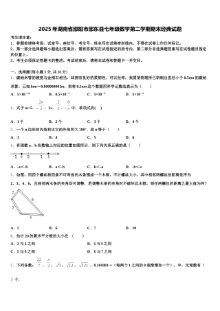 2025年湖南省邵阳市邵东县七年级数学第二学期期末经典试题含解析