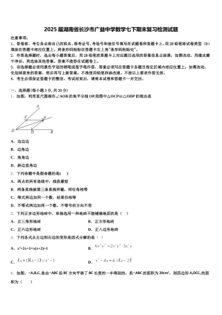2025届湖南省长沙市广益中学数学七下期末复习检测试题含解析