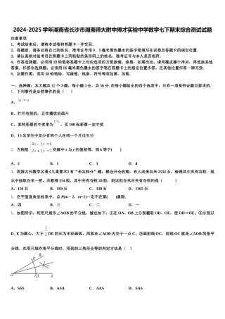2024-2025学年湖南省长沙市湖南师大附中博才实验中学数学七下期末综合测试试题含解析