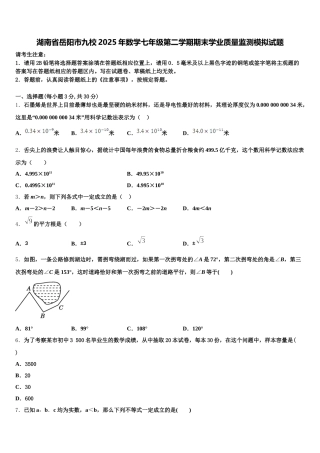 湖南省岳阳市九校2025年数学七年级第二学期期末学业质量监测模拟试题含解析