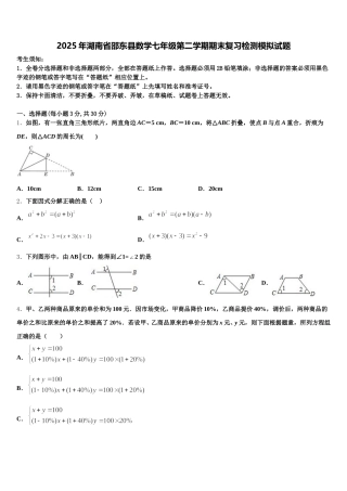 2025年湖南省邵东县数学七年级第二学期期末复习检测模拟试题含解析