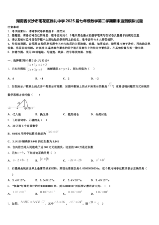 湖南省长沙市雨花区雅礼中学2025届七年级数学第二学期期末监测模拟试题含解析