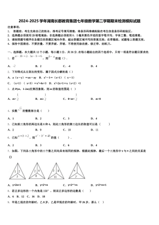 2024-2025学年湖南长郡教育集团七年级数学第二学期期末检测模拟试题含解析