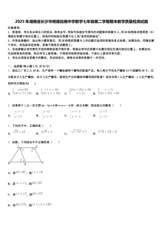 2025年湖南省长沙市明德启南中学数学七年级第二学期期末教学质量检测试题含解析