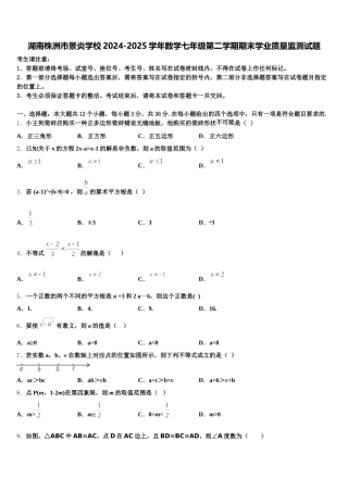 湖南株洲市景炎学校2024-2025学年数学七年级第二学期期末学业质量监测试题含解析
