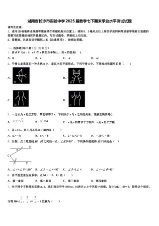 湖南省长沙市实验中学2025届数学七下期末学业水平测试试题含解析