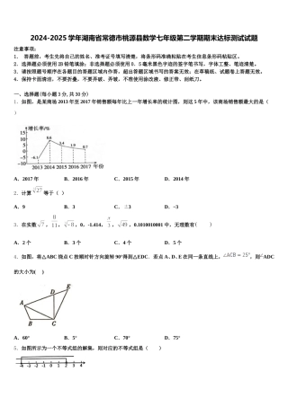 2024-2025学年湖南省常德市桃源县数学七年级第二学期期末达标测试试题含解析