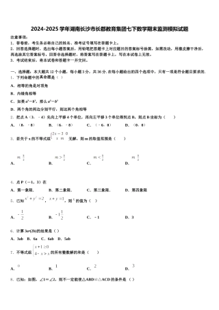 2024-2025学年湖南长沙市长郡教育集团七下数学期末监测模拟试题含解析