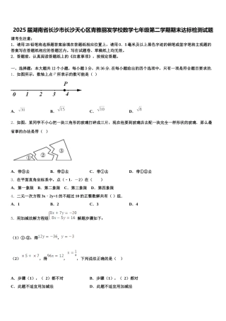 2025届湖南省长沙市长沙天心区青雅丽发学校数学七年级第二学期期末达标检测试题含解析