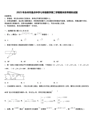 2025年永州市重点中学七年级数学第二学期期末统考模拟试题含解析