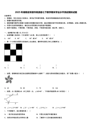 2025年湖南省常德市桃源县七下数学期末学业水平测试模拟试题含解析