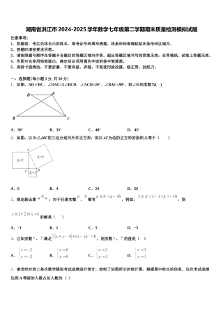 湖南省洪江市2024-2025学年数学七年级第二学期期末质量检测模拟试题含解析