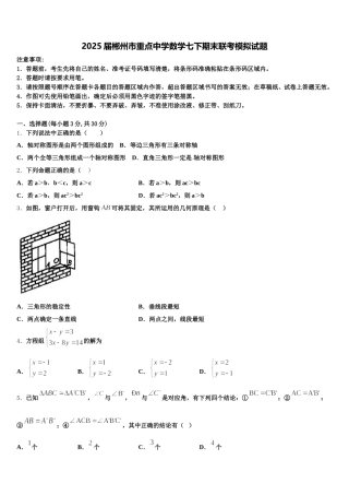 2025届郴州市重点中学数学七下期末联考模拟试题含解析