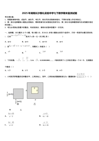 2025年湖南长沙雅礼实验中学七下数学期末监测试题含解析