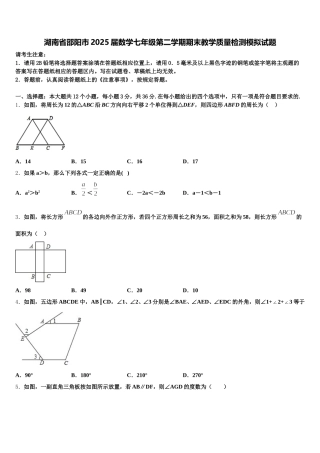 湖南省邵阳市2025届数学七年级第二学期期末教学质量检测模拟试题含解析