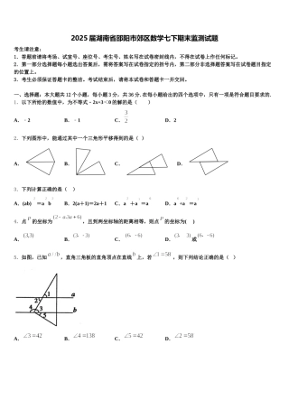 2025届湖南省邵阳市郊区数学七下期末监测试题含解析