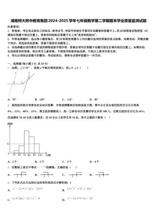 湖南师大附中教育集团2024-2025学年七年级数学第二学期期末学业质量监测试题含解析