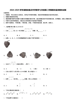 2024-2025学年湖南省重点中学数学七年级第二学期期末监测模拟试题含解析