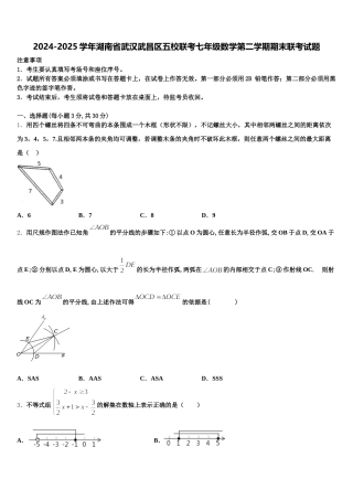 2024-2025学年湖南省武汉武昌区五校联考七年级数学第二学期期末联考试题含解析