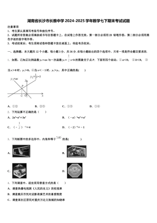 湖南省长沙市长雅中学2024-2025学年数学七下期末考试试题含解析
