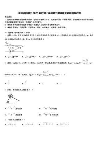 湖南省邵阳市2025年数学七年级第二学期期末调研模拟试题含解析
