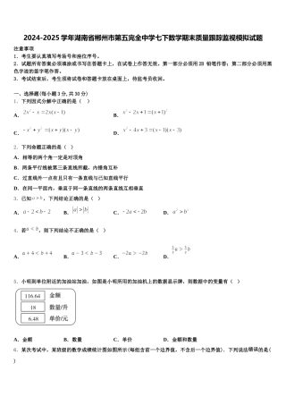 2024-2025学年湖南省郴州市第五完全中学七下数学期末质量跟踪监视模拟试题含解析