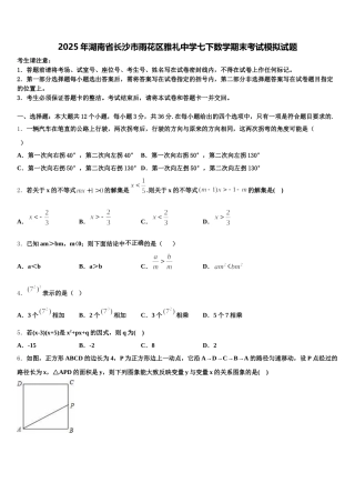 2025年湖南省长沙市雨花区雅礼中学七下数学期末考试模拟试题含解析