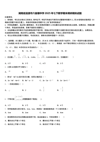 湖南省涟源市六亩塘中学2025年七下数学期末调研模拟试题含解析