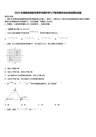 2025年湖南省邵阳市黄亭市镇中学七下数学期末综合测试模拟试题含解析