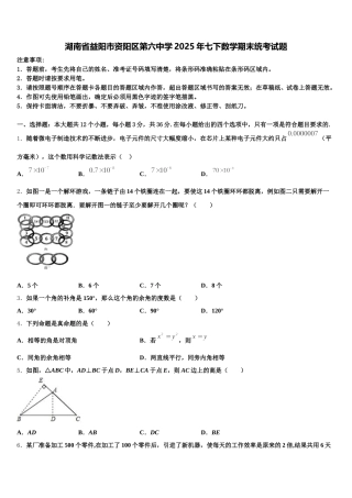 湖南省益阳市资阳区第六中学2025年七下数学期末统考试题含解析