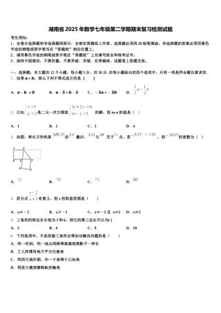 湖南省2025年数学七年级第二学期期末复习检测试题含解析