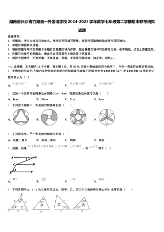 湖南省长沙青竹湖湘一外国语学校2024-2025学年数学七年级第二学期期末联考模拟试题含解析