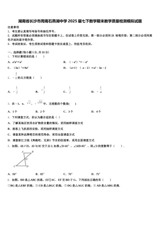湖南省长沙市周南石燕湖中学2025届七下数学期末教学质量检测模拟试题含解析
