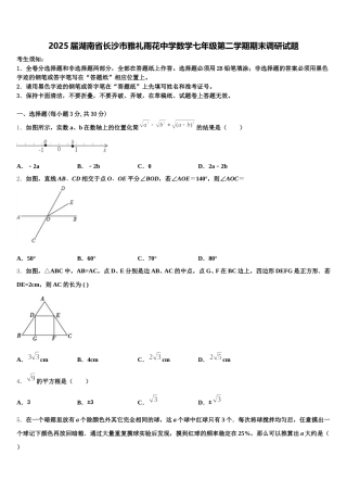 2025届湖南省长沙市雅礼雨花中学数学七年级第二学期期末调研试题含解析