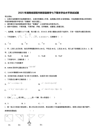2025年湖南省邵阳市新邵县数学七下期末学业水平测试试题含解析