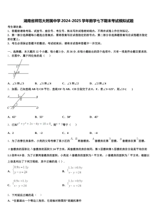 湖南省师范大附属中学2024-2025学年数学七下期末考试模拟试题含解析