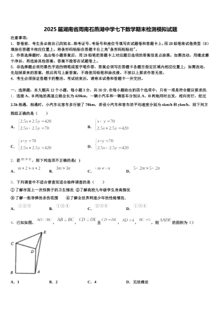 2025届湖南省周南石燕湖中学七下数学期末检测模拟试题含解析