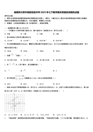 湖南师大附中高新实验中学2025年七下数学期末质量检测模拟试题含解析