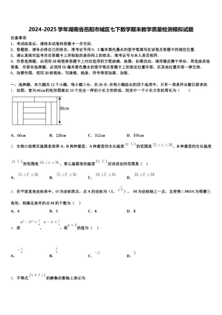 2024-2025学年湖南省岳阳市城区七下数学期末教学质量检测模拟试题含解析