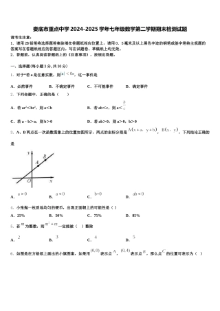 娄底市重点中学2024-2025学年七年级数学第二学期期末检测试题含解析