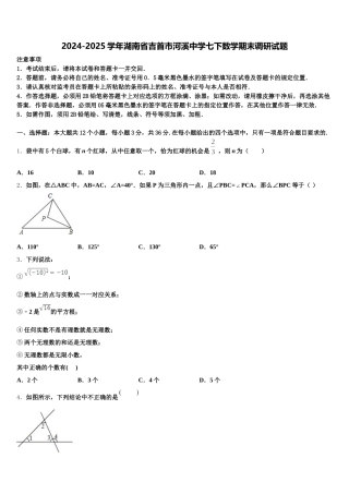 2024-2025学年湖南省吉首市河溪中学七下数学期末调研试题含解析